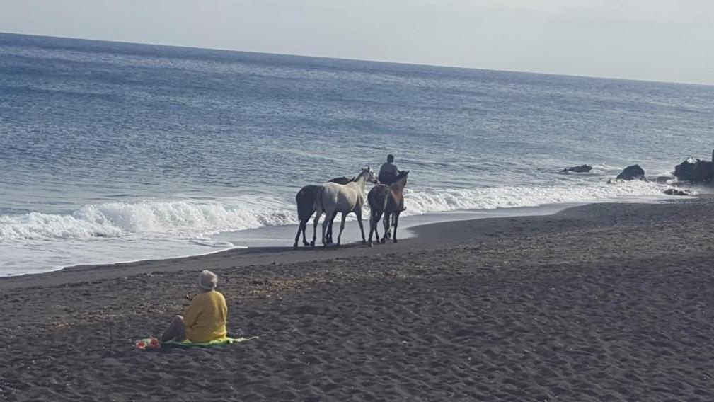 Santorini Pleasure Studios Фира Екстериор снимка